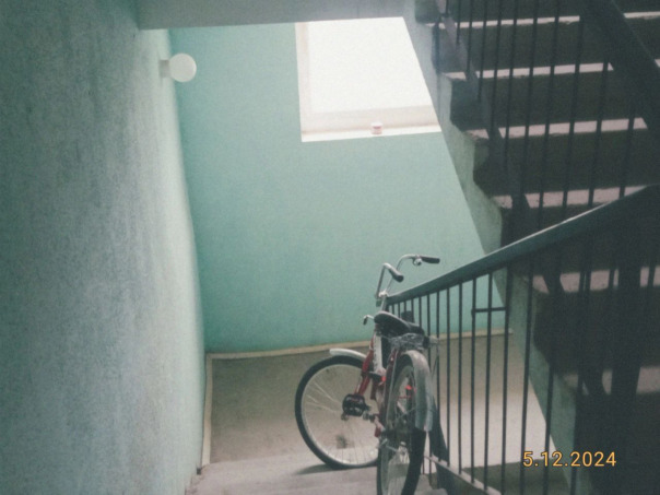 Фотографии