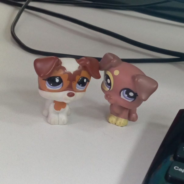 Фотографии со стены