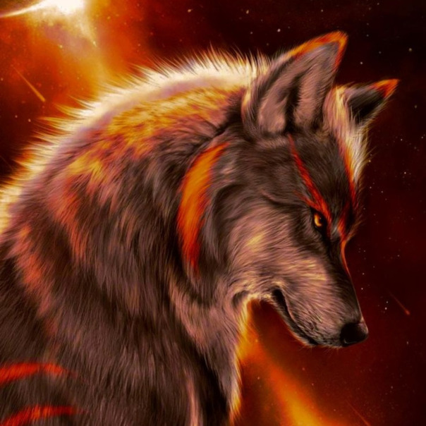 Фотографии со стены