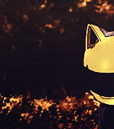 Фотографии со стены