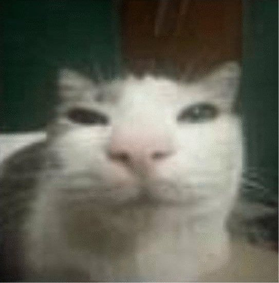 Давид Стальной