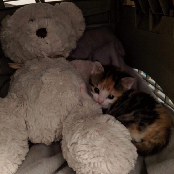 Фотографии со страницы