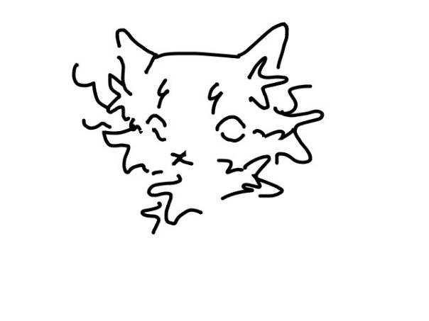 Фотографии со стены