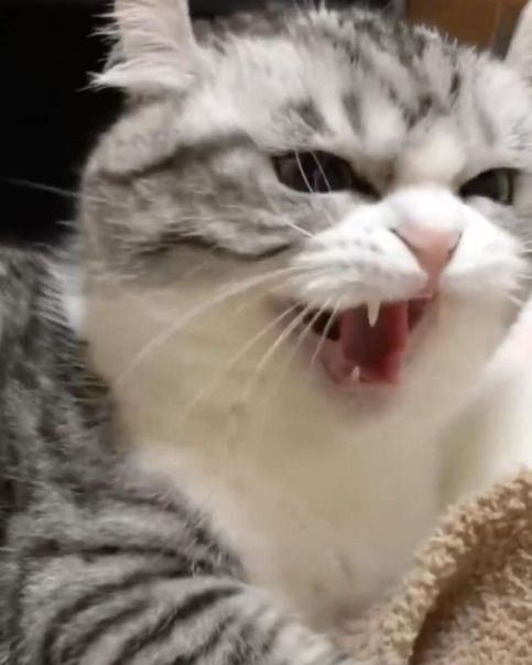 Фотографии со страницы