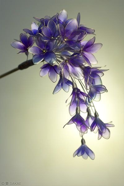 Кандзаси — японские традиционные жен...