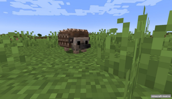 Фотографии со стены