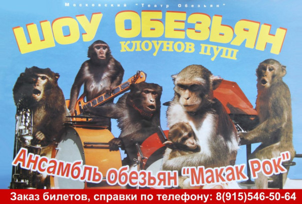 Profile backdrop (system)...