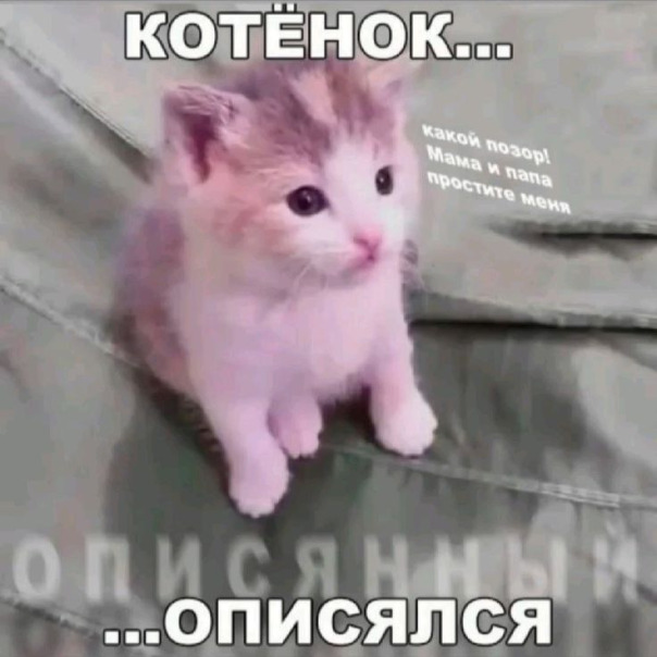 Константин 