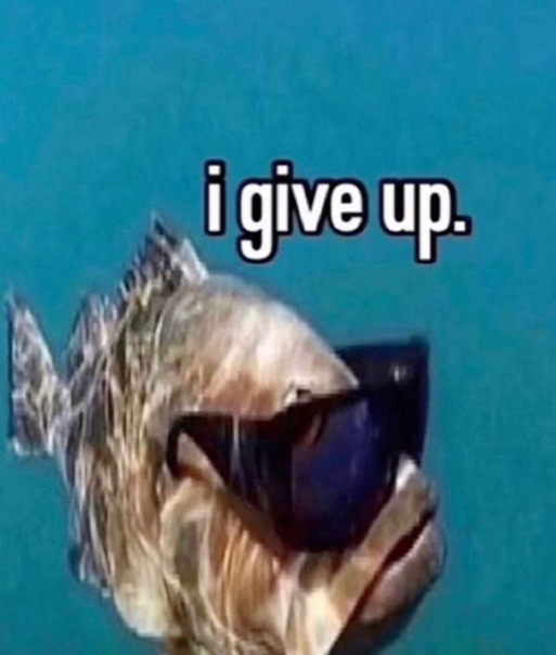 Андрей Фаттахов