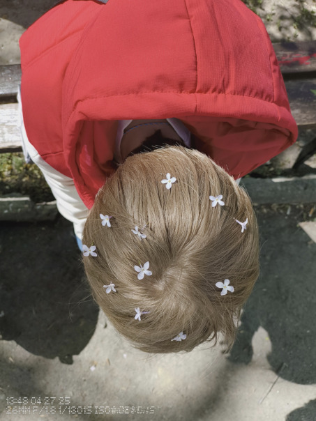 Максим Шевченко