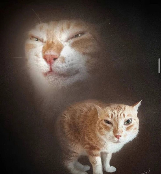 Головач Лена