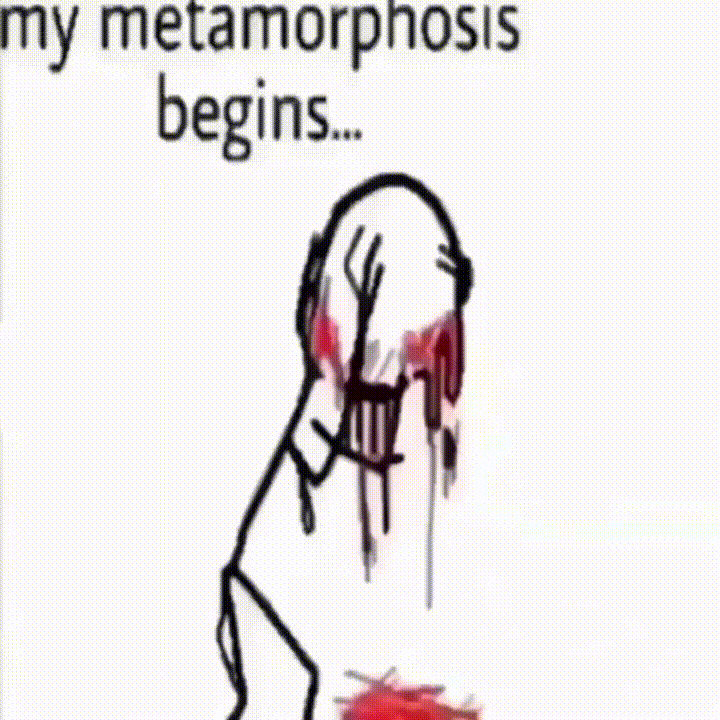 metamorphosis