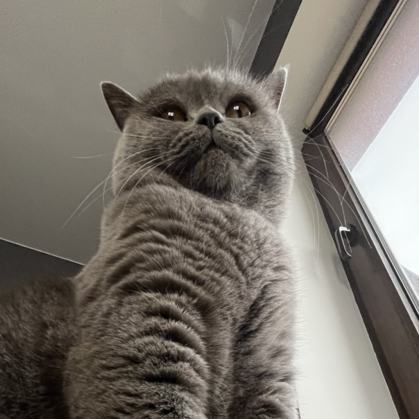 Фотографии со страницы