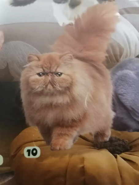 Фотографии со страницы