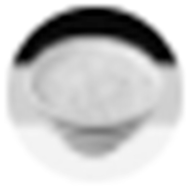 Володя Приколов