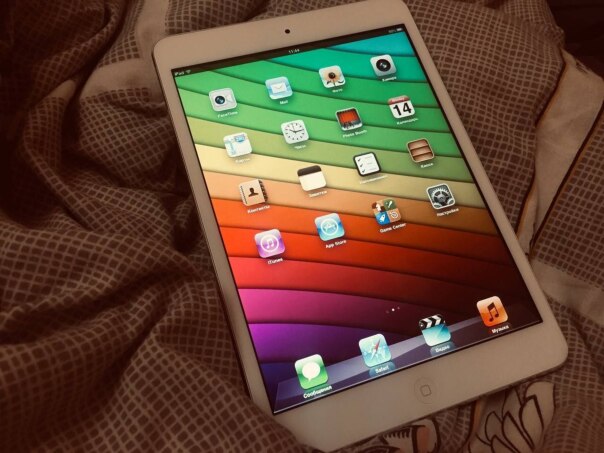 Фотографии