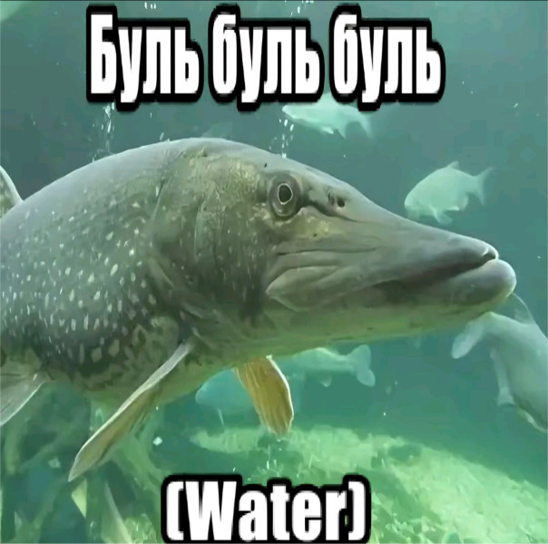 Васёк Пупкин