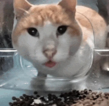 Ярослав Заика