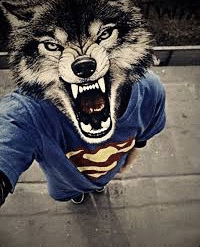 Андрей Снегов