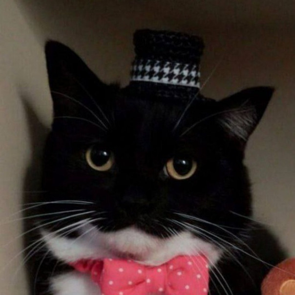 Антон Иосиф