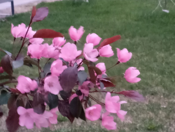 Фотографии со стены