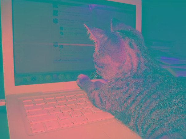 Фотографии со стены