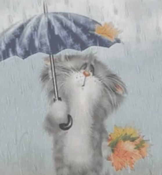 Фотографии со страницы