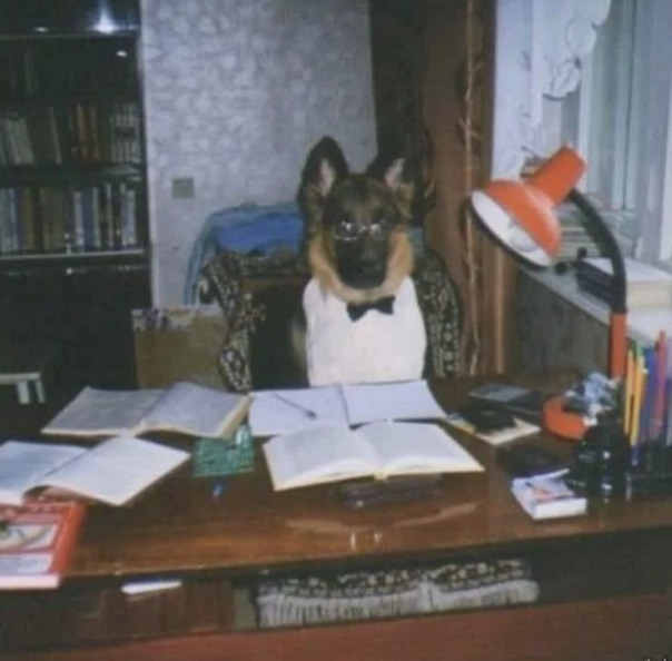 Те, кто ел арбузы