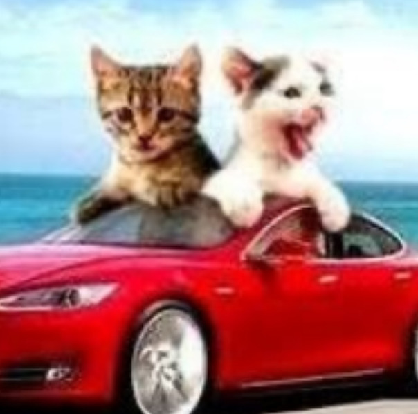 Фотографии со страницы