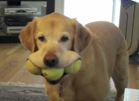 Фотографии со страницы