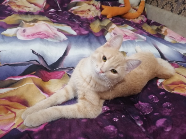 Светлана Автономова