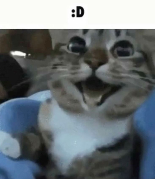 Артём Алькин