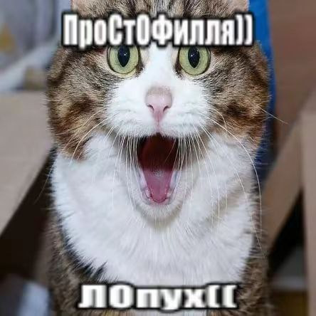 Profile backdrop (system)...