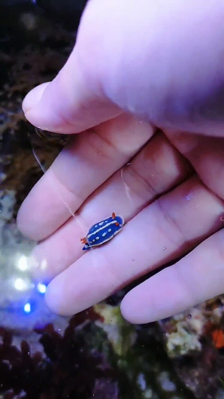 yusura0846-1807308166696464459-20240630_140019-vid1.mp4