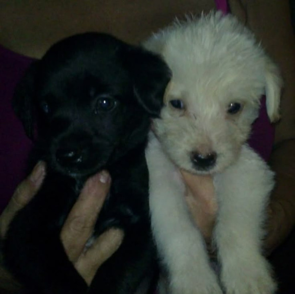 Фотографии со страницы