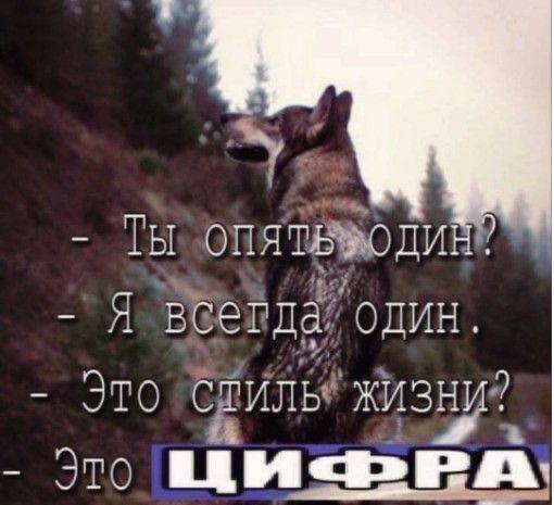 Фотографии со стены