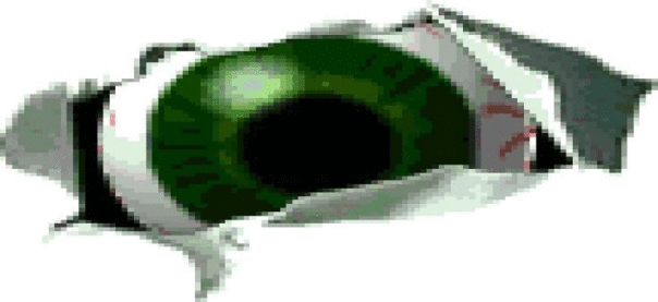 Зомби Дирлевангер