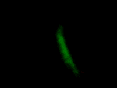 БАЛДАО ( РЕКЛАМА_ СОЛи СПАЙС ТЕЛЕФОН 8 (495) 224-70-69) МУИЬЛ…