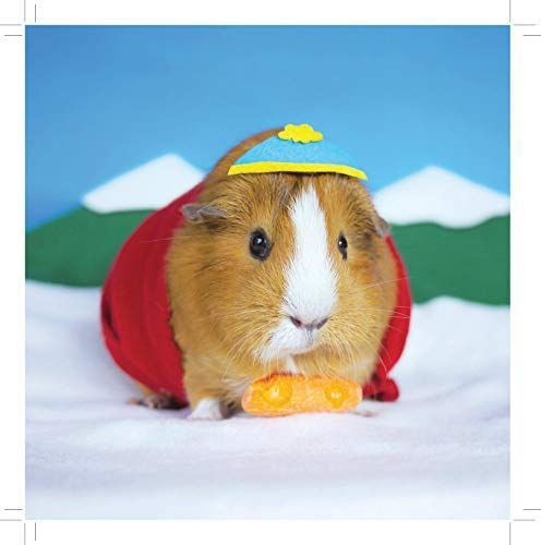 Фотографии со стены