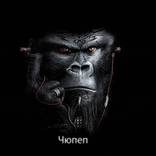 Фотографии со стены