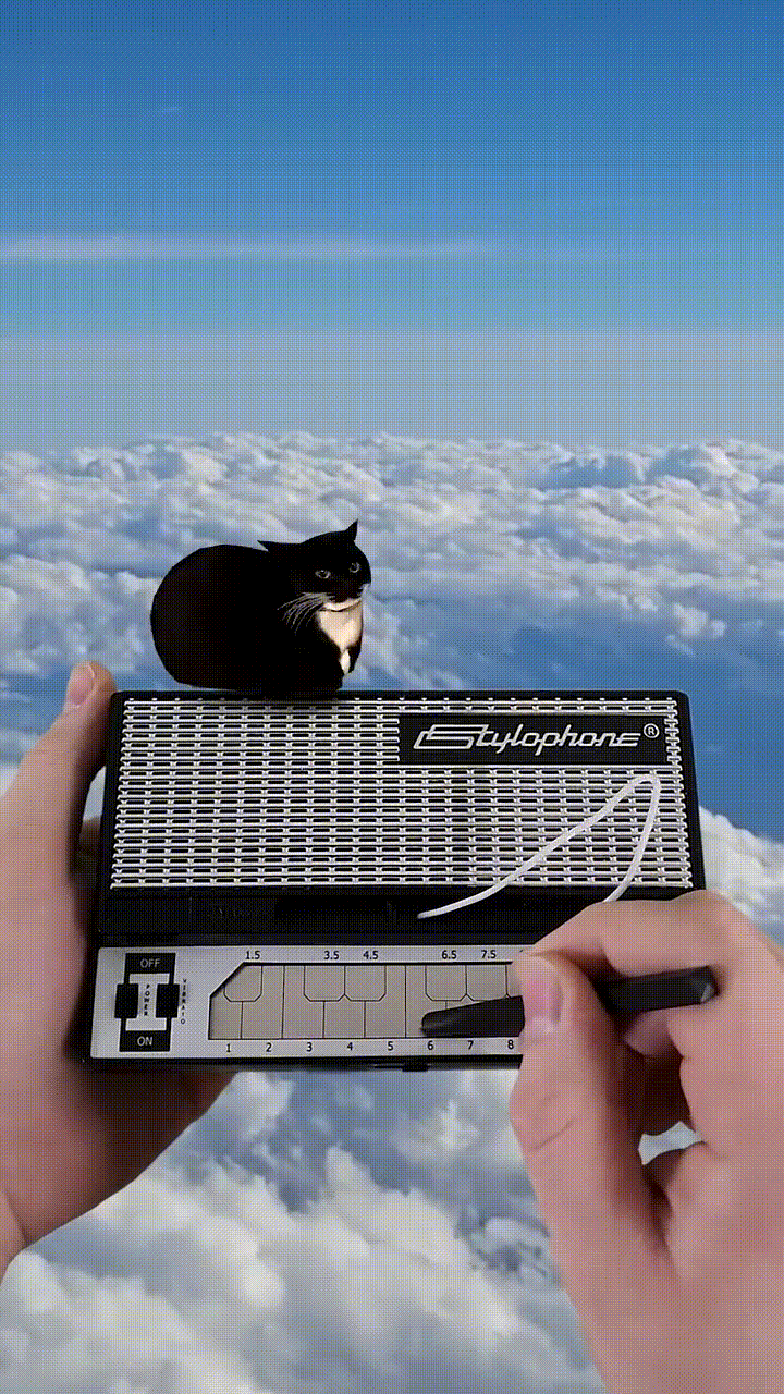 Котик и стилофон