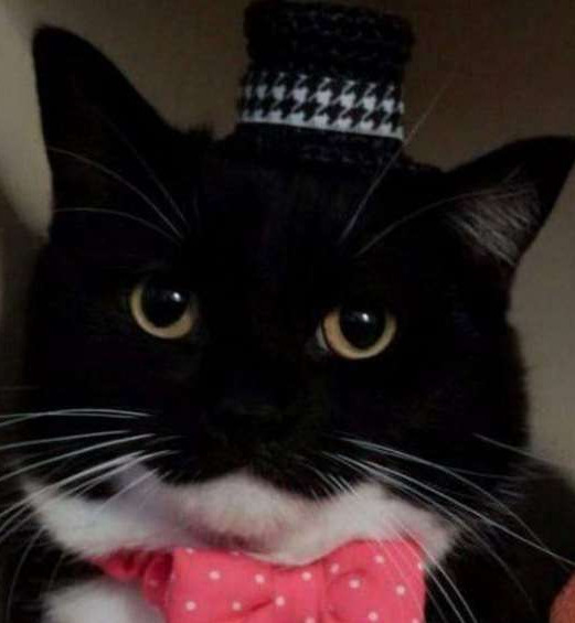 Фотографии со страницы