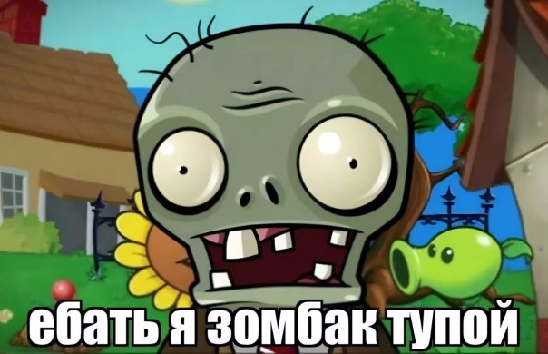 Фотографии со стены