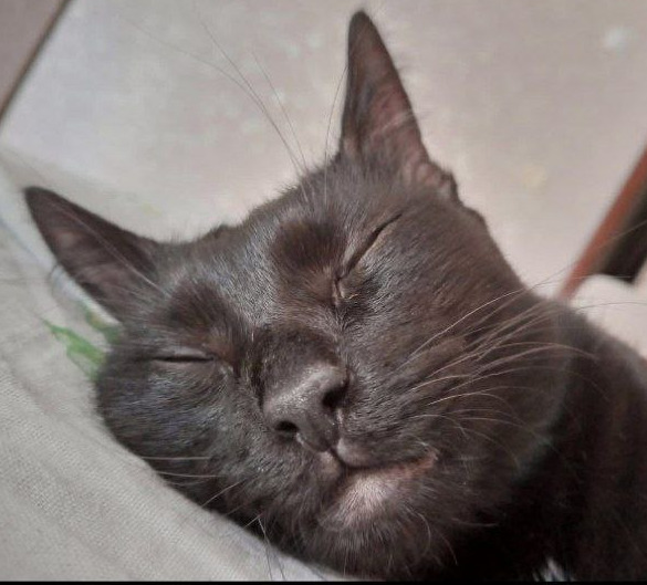 Антоха Эвенкс