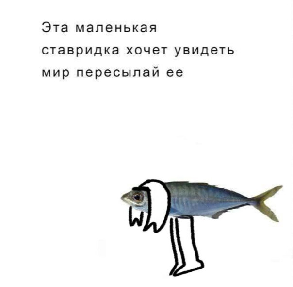 Фотографии со стены