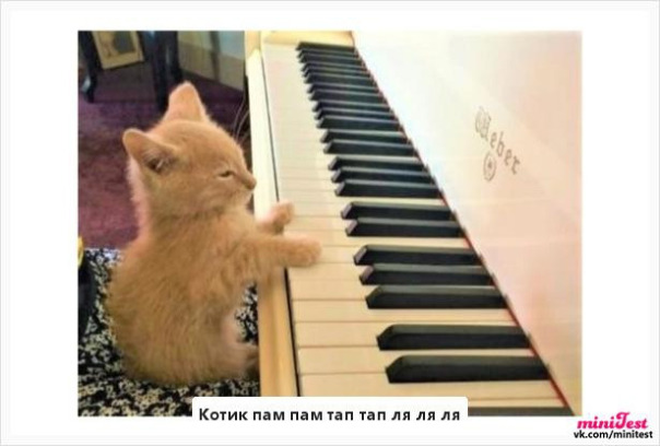 Фотографии со стены