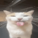 Фотографии со стены