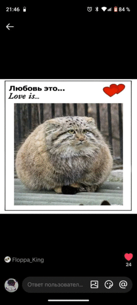 Фотографии со страницы