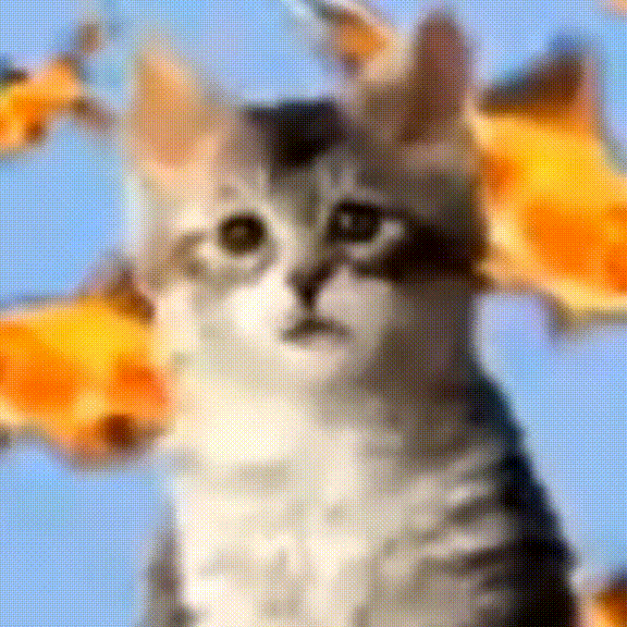 Кот-Наркоман