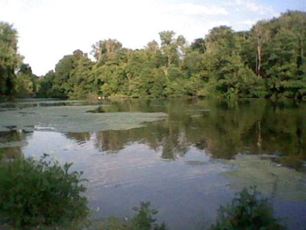 3дс фоточки